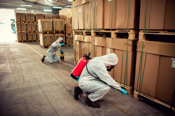 Best Pest Inspection Near Me  in Tifton, GA