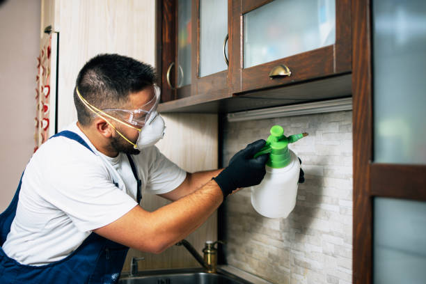 Trusted Tifton, GA Pest Control Experts