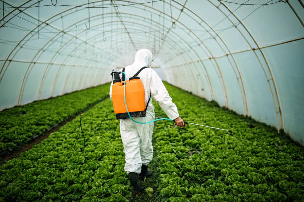 Best Pest Removal Services  in Tifton, GA