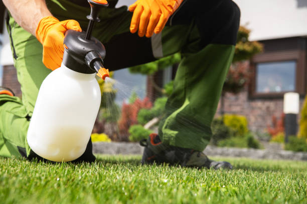 Bird Control in Tifton, GA