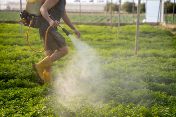 Best Exterminator Services  in Tifton, GA