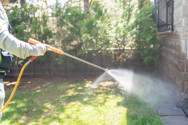 Best Wasp Removal Services  in Tifton, GA