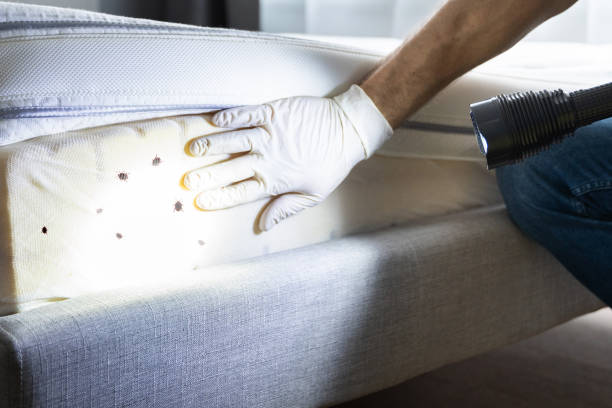Best Residential Pest Control  in Tifton, GA