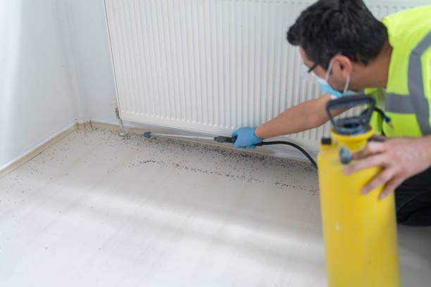 Best Rat Extermination Near Me  in Tifton, GA